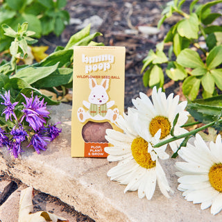 Easter Plops Wildflower Seed Bombs