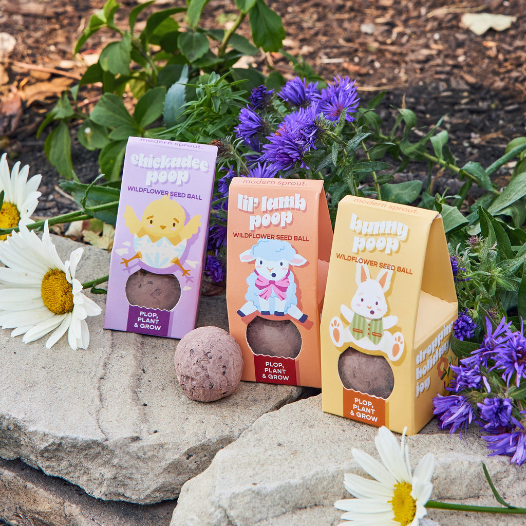 Easter Plops Wildflower Seed Bombs