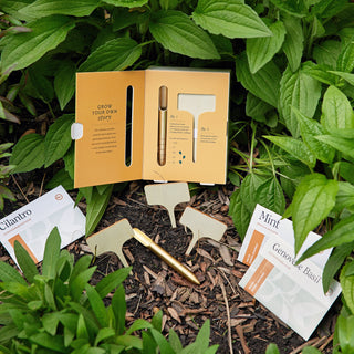Seed Library Garden Kit