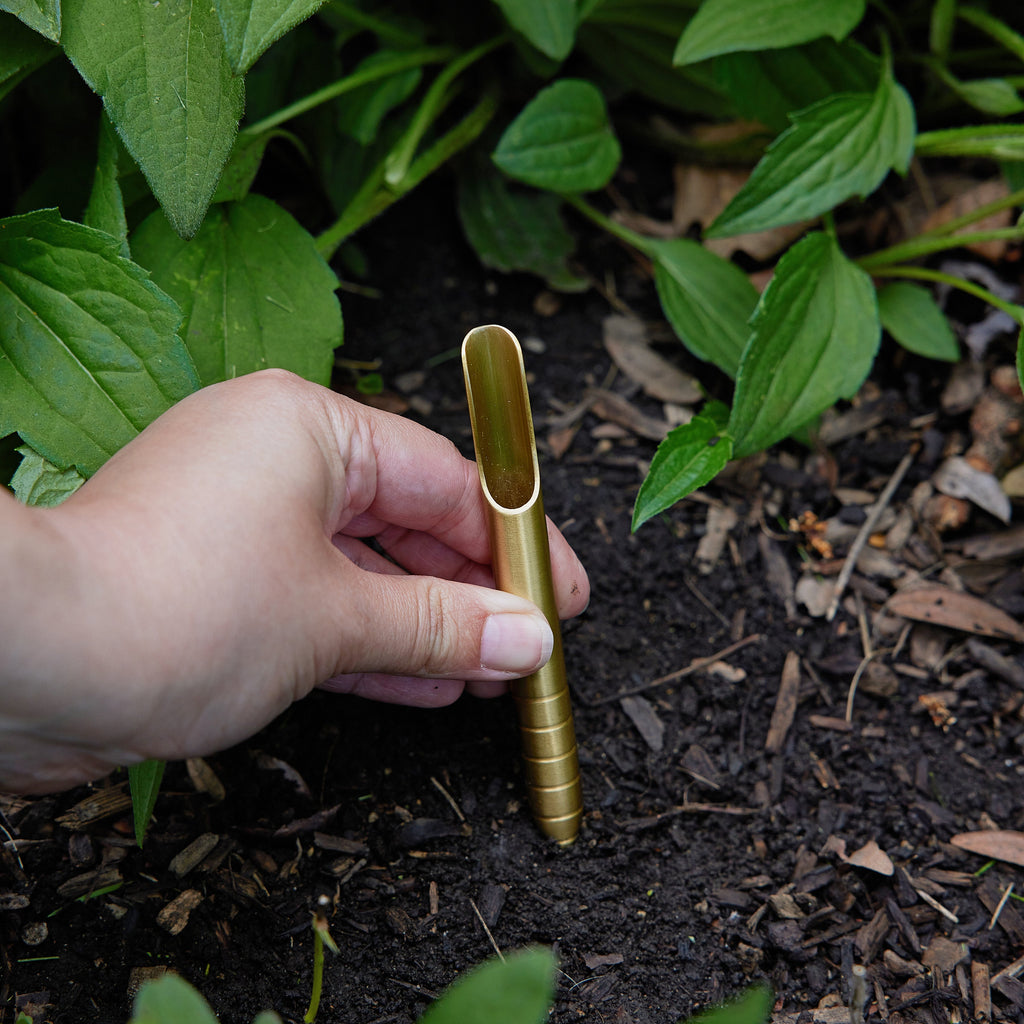 Seed Library Garden Kit