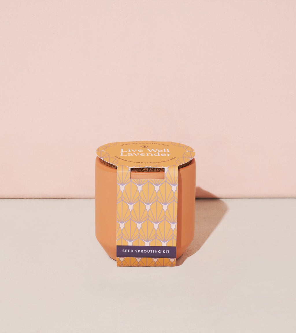 Tiny Terracotta Grow Kits