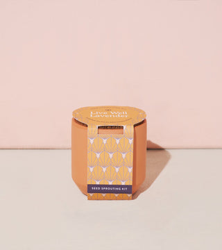 Tiny Terracotta Grow Kits