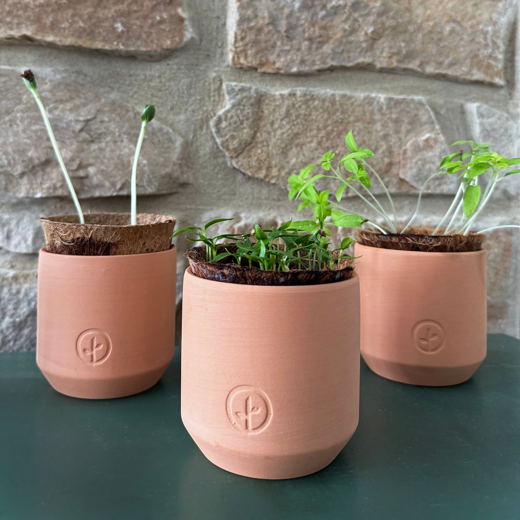 Tiny Terracotta Garden Grow Kit