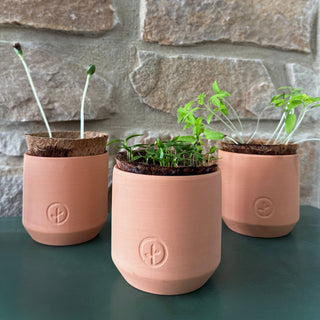 Tiny Terracotta Garden Grow Kit