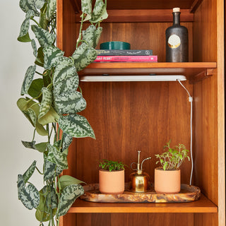 Tiny Terracotta Garden Grow Kit