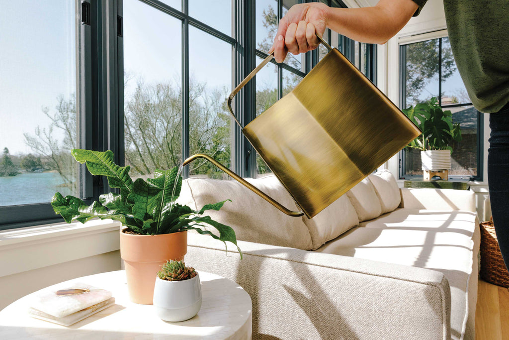 Brass & Matte Black Watering Cans – 3L
