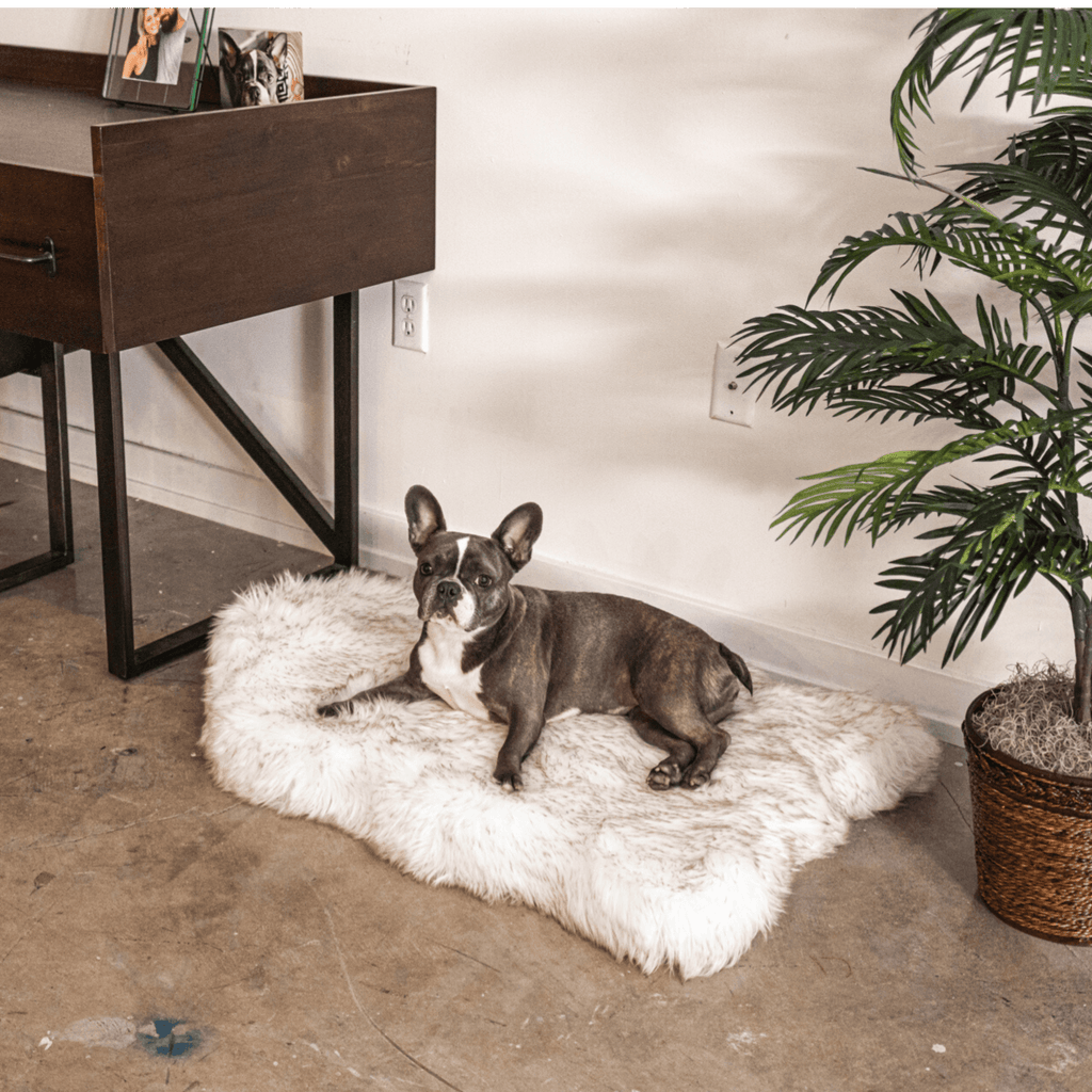 PupRug by Paw.com® Faux Fur Orthopedic Dog Bed – Curve White with Brown Accents