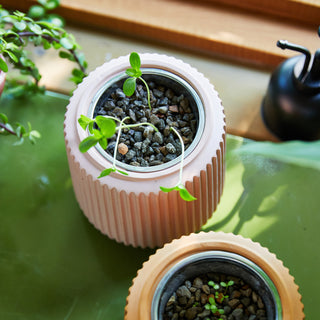 Flower Grow Kits – Fluted Ceramic Planter