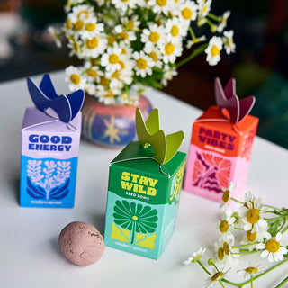 Seed Bombs Grow Kit