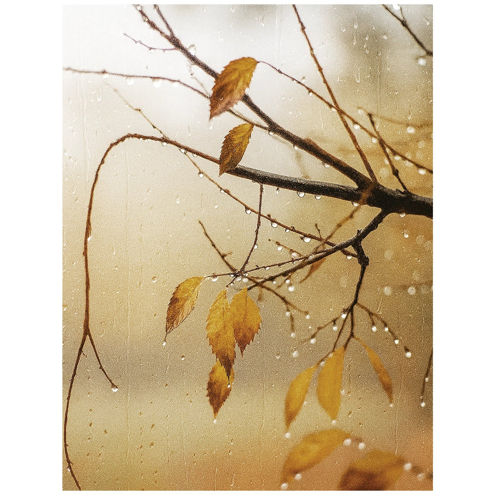 November Rain Diffuser Oil