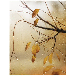 November Rain Diffuser Oil