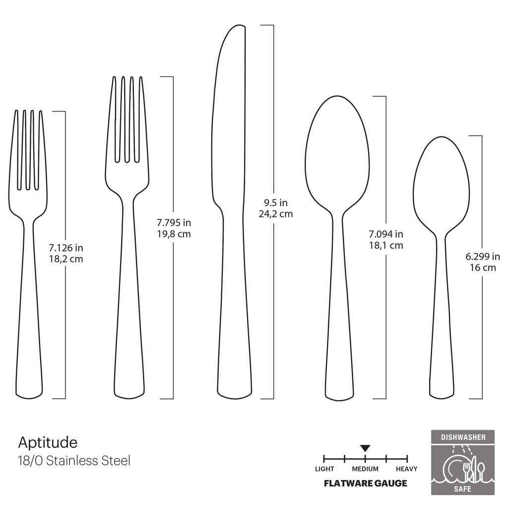 Oneida Aptitude Midnight Glossy 20-Piece Flatware Set, 18/0 stainless steel (view 4)