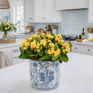 Mid-Size Round Trellis Planter | Decorative Indoor & Outdoor Planter