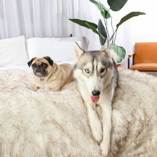 PupProtector™ Waterproof Throw Blanket – White with Brown Accents
