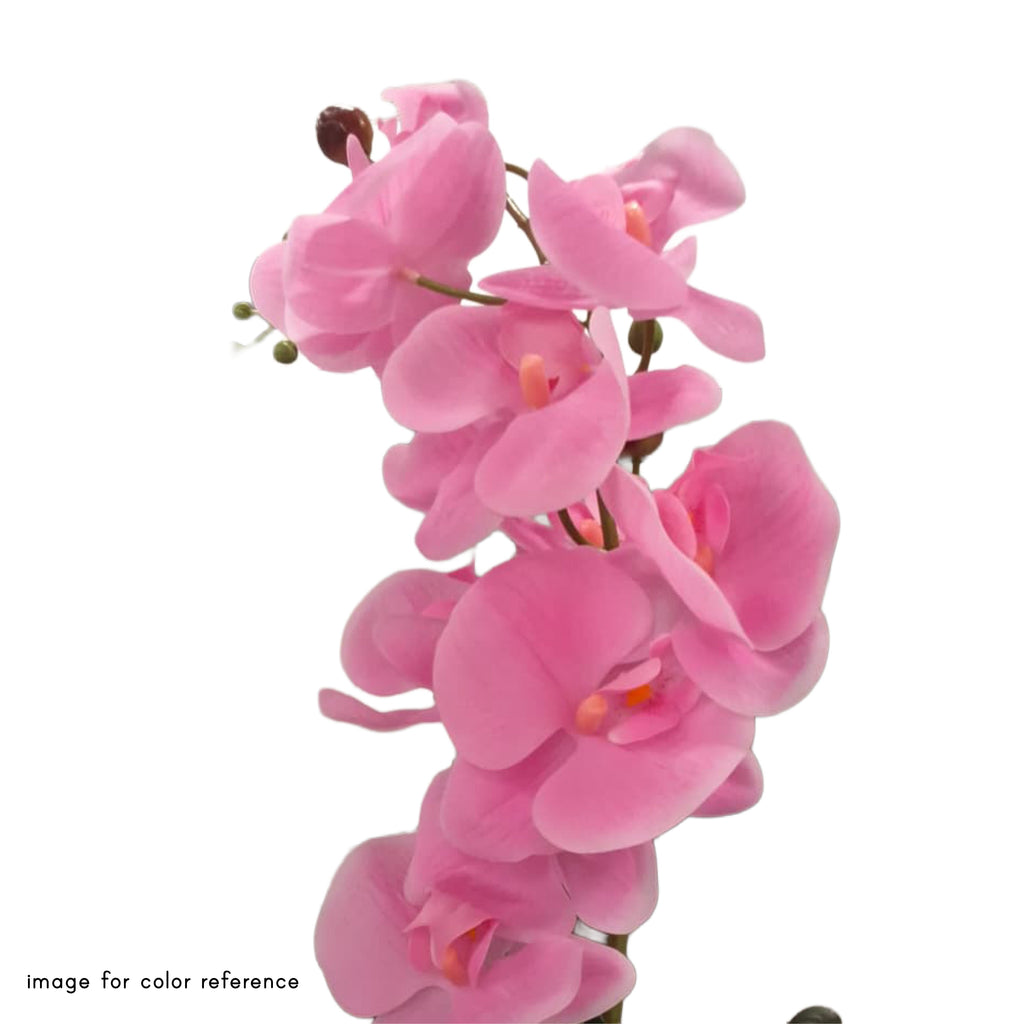 Potted Phalaenopsis 11 Pink Orchids in White Ceramic Pot