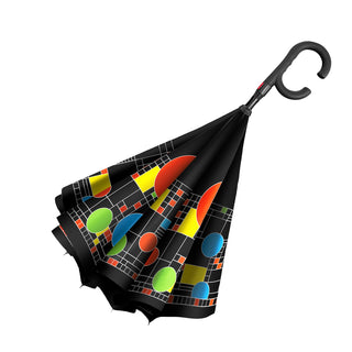 Frank Lloyd Wright 