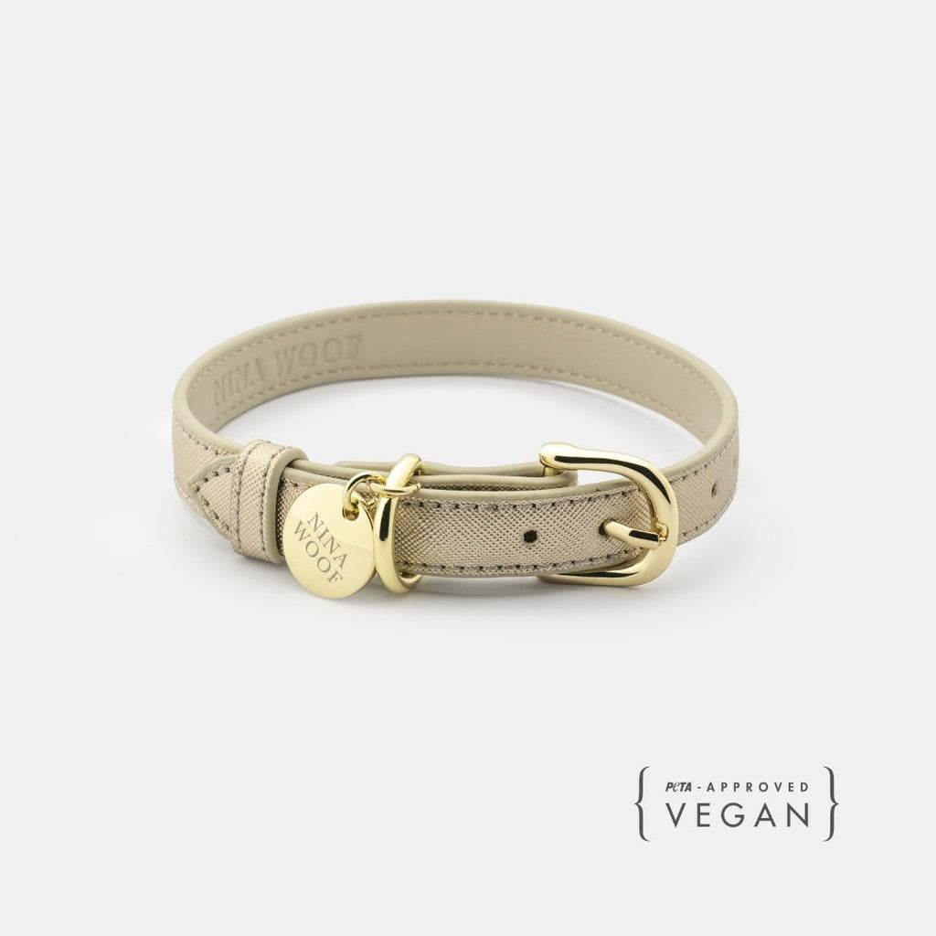 Eco-Friendly Vegan Dog Collar | Modern, Comfortable Pet Collar