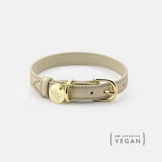 Eco-Friendly Vegan Dog Collar | Modern, Comfortable Pet Collar