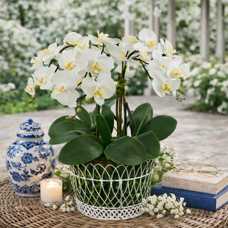 Round Straight French Wire Basket