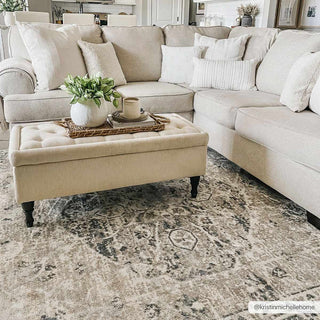 Rudoblu Boutique Washable Rug – Elegant Soft Modern Area Carpet