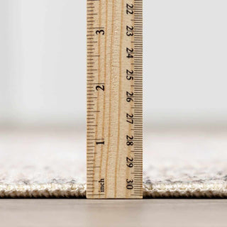 Lila Medallion Brown Livabliss x Becki Owens Rug – Elegant Patterned Area Carpet