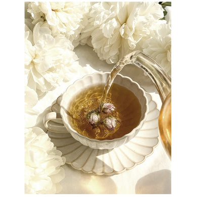 Soft White Lies Diffuser Oil