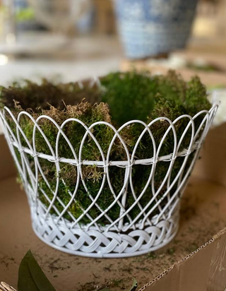 Round Straight French Wire Basket