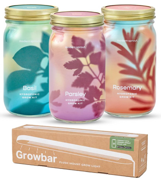 Garden Jars – Organic Herb Growing Kit