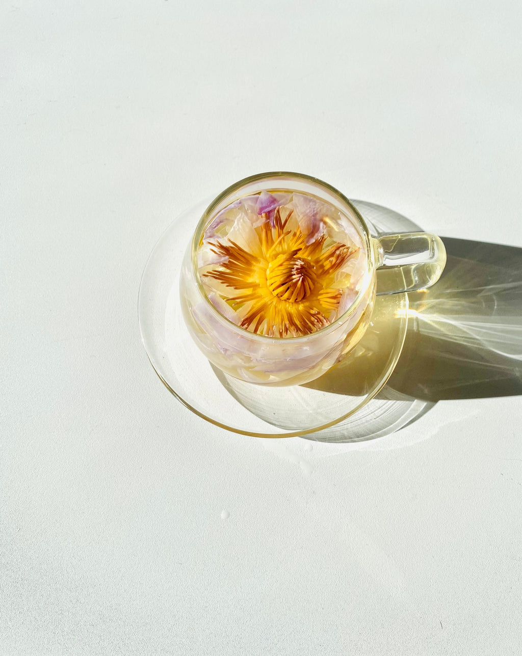 Glass Cups & Saucers Set (2) – Heat-Resistant Borosilicate Tea Cups