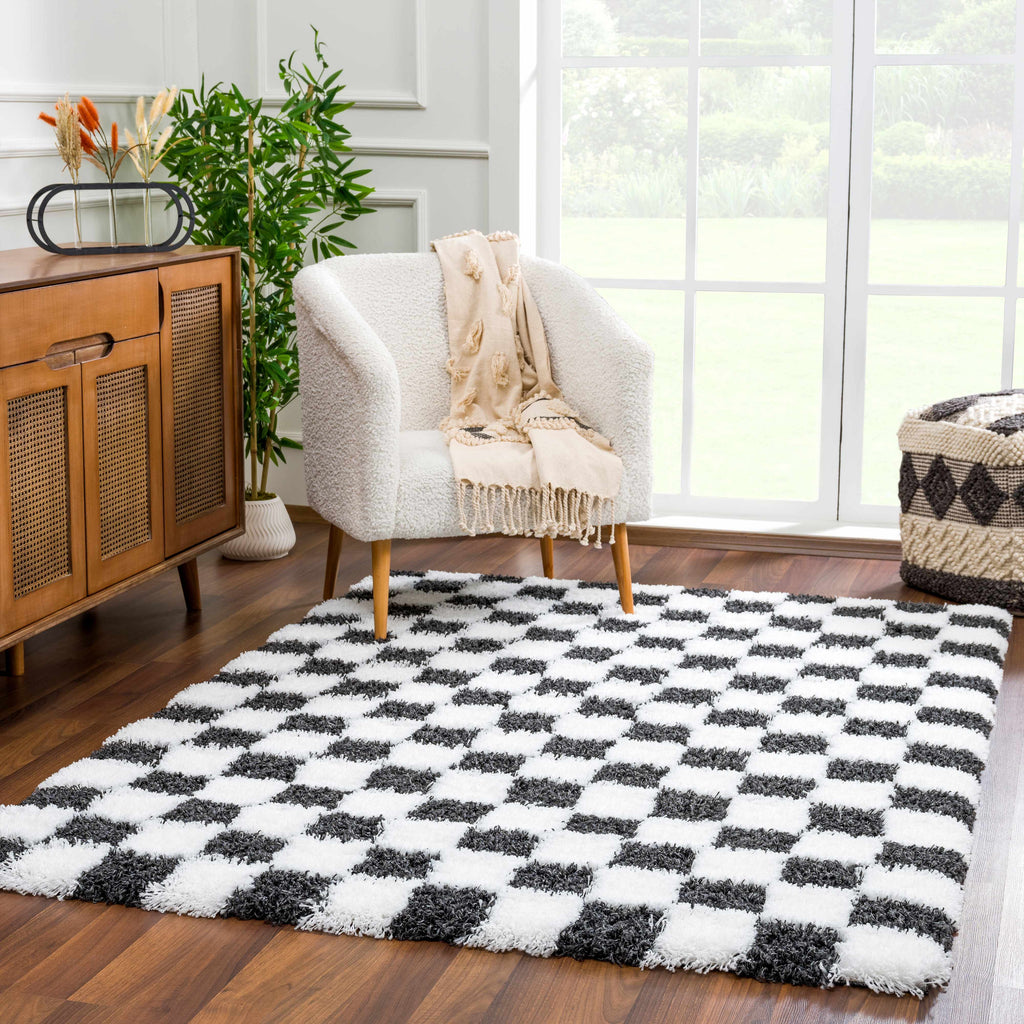 Atira Black White Checkered Area Rug – Modern Patterned Washable Carpet