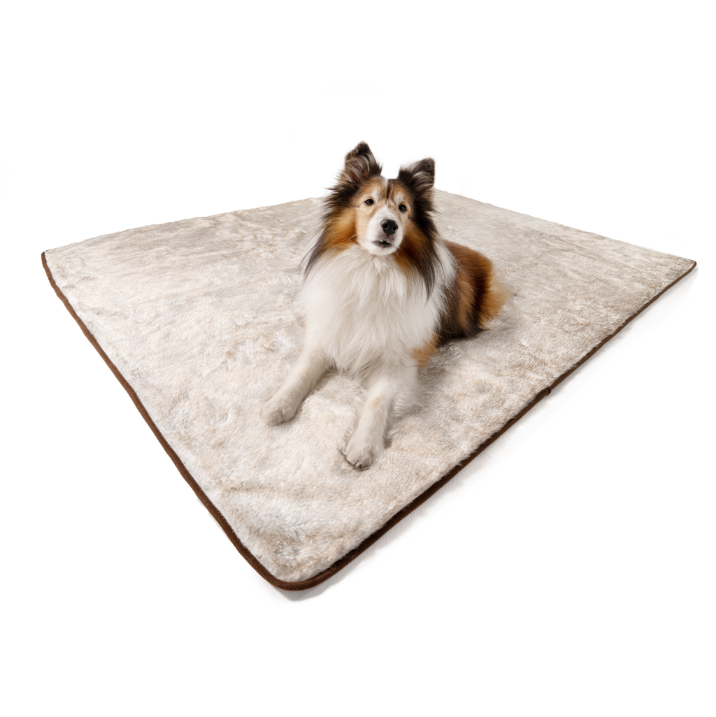 PupProtector™ Summer Short Fur Waterproof Throw Blanket – White with Brown Accents