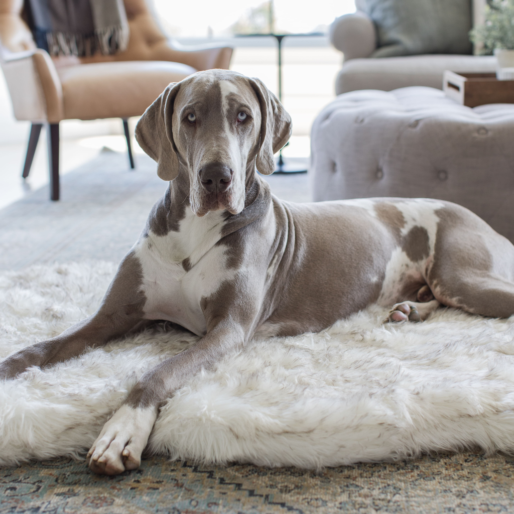 PupRug by Paw.com® Faux Fur Orthopedic Dog Bed – Curve White with Brown Accents