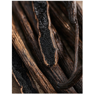 Vanilla Bean Diffuser Oil