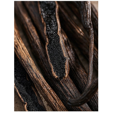 Vanilla Bean Diffuser Oil