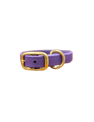 Violet Waterproof Biothane Collar