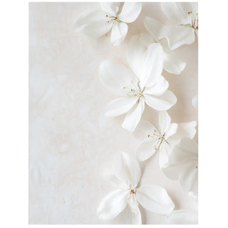 White Flower Diffuser Oil