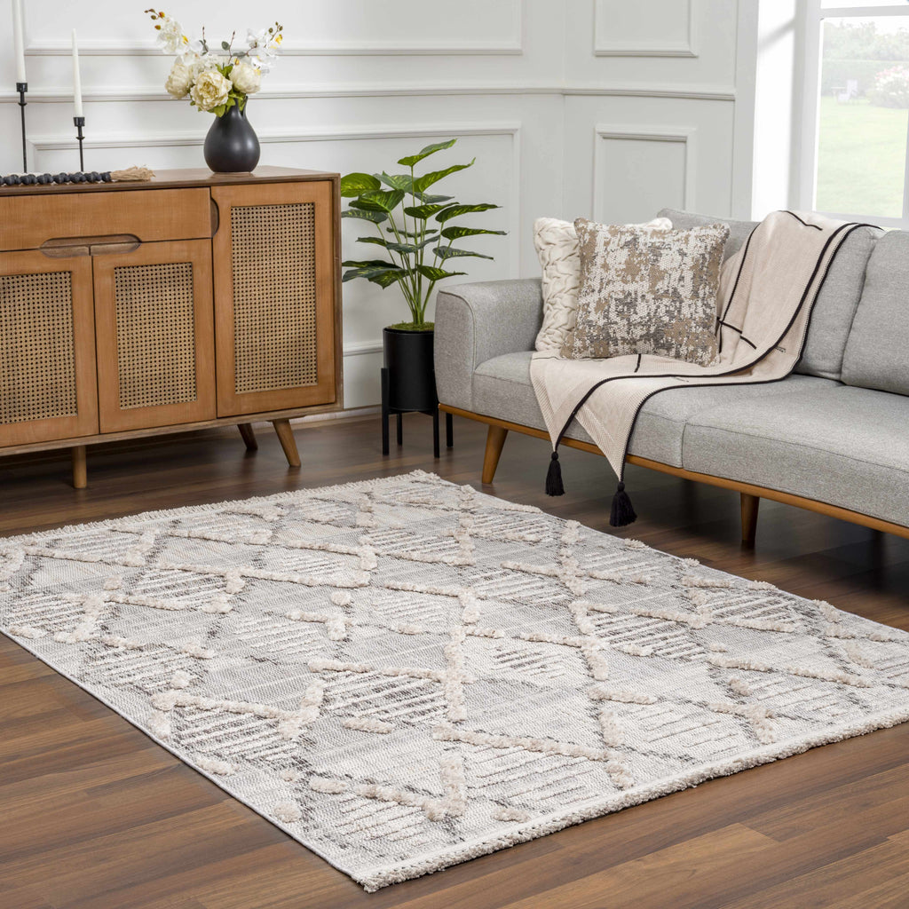Bogtong High Low Rustic Rug – Soft Textured Modern Area Carpet