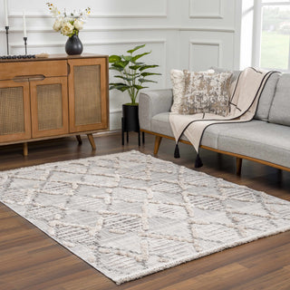 Bogtong High Low Rustic Rug – Soft Textured Modern Area Carpet