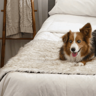 PupProtector™ Waterproof Faux Fur Bed Runner – White with Brown Accents