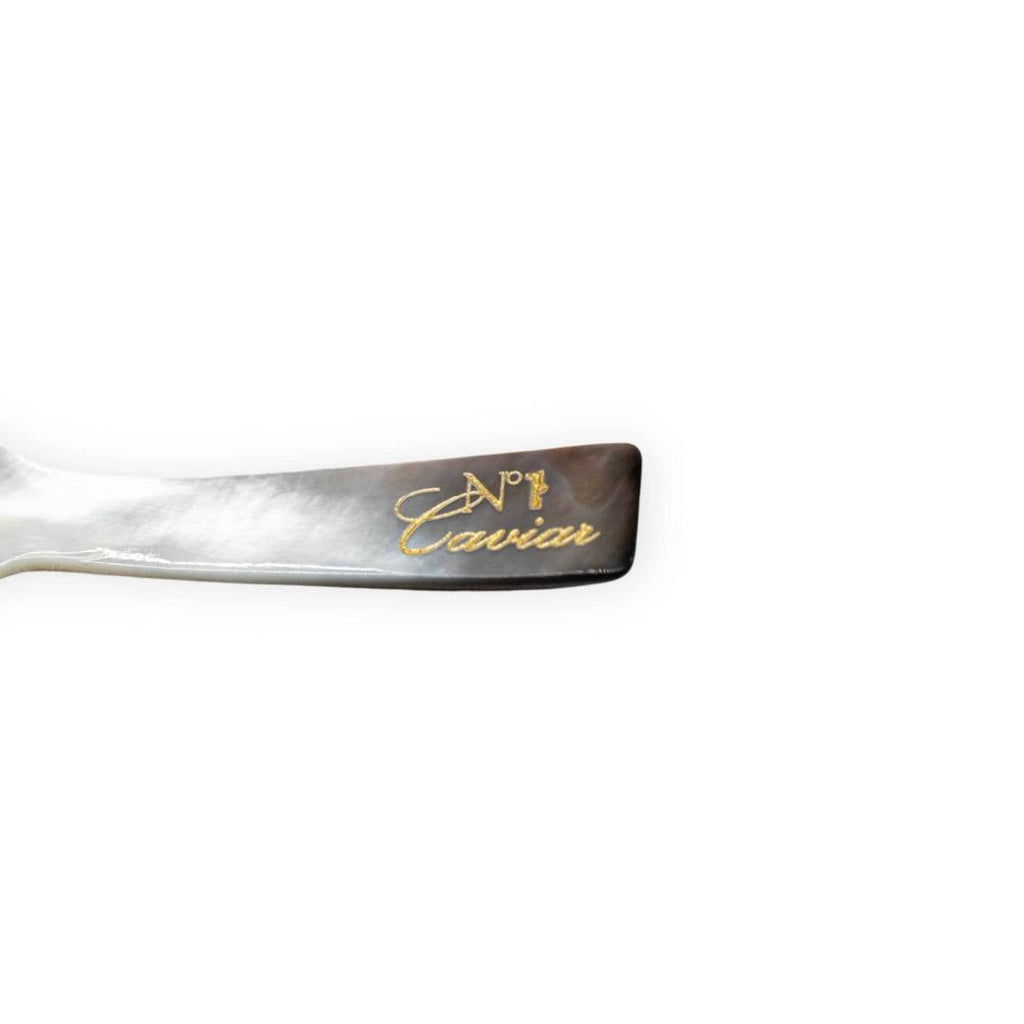 Black Mother of Pearl Caviar Spoon – Small