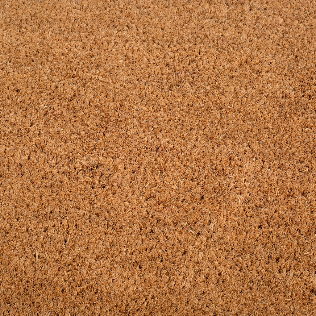 Black Border Natural Coir Doormat