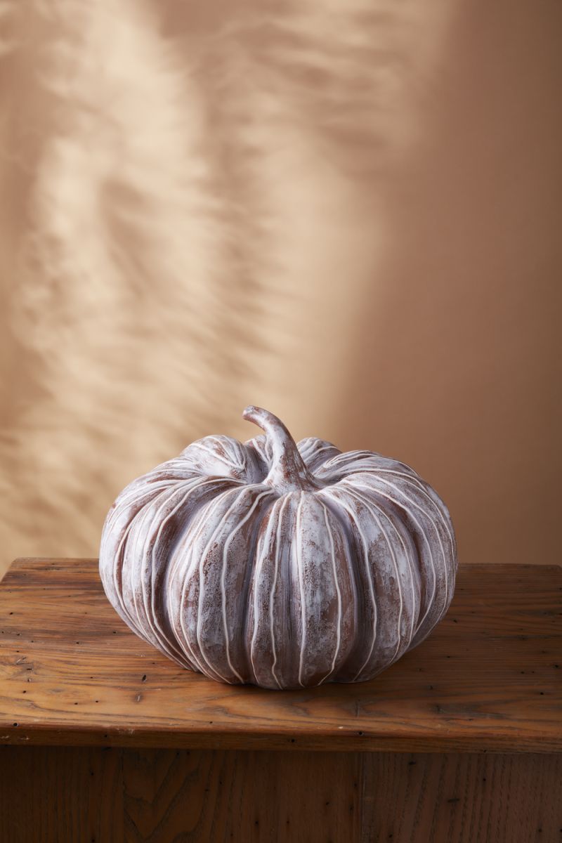 Bounty Pumpkin, Large - Anara Lifestyle