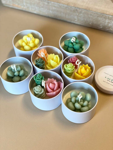Cactus in a Jar Scented Candle - Handmade Aroma Bliss