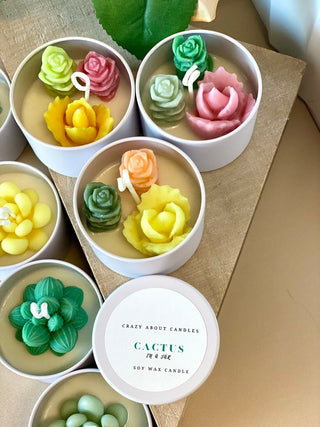 Cactus in a Jar Scented Candle - Handmade Aroma Bliss