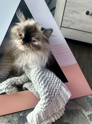 Wavey Cardboard Cat Pyramid | Modern Eco-Friendly Cat Hideaway