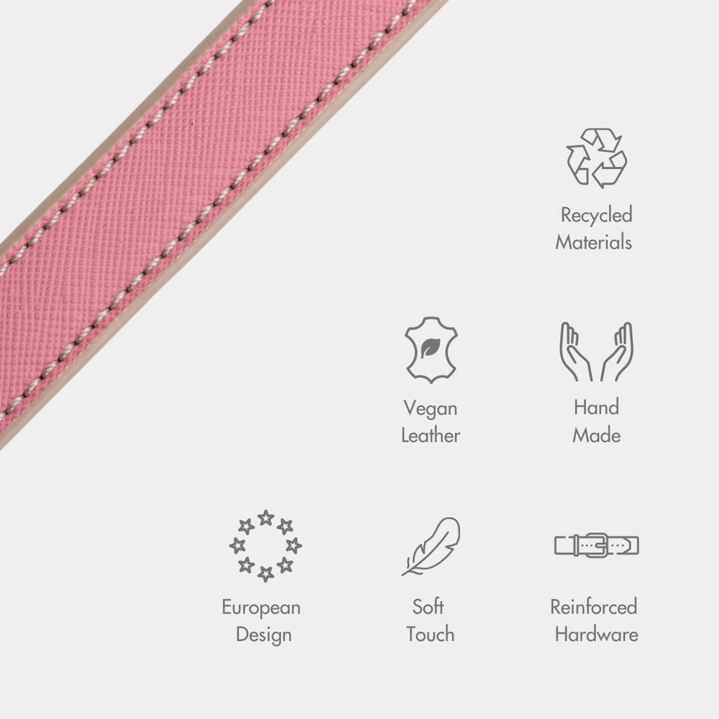 Eco-Friendly Vegan Dog Collar | Modern, Comfortable Pet Collar