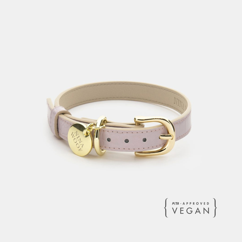Eco-Friendly Vegan Dog Collar | Modern, Comfortable Pet Collar