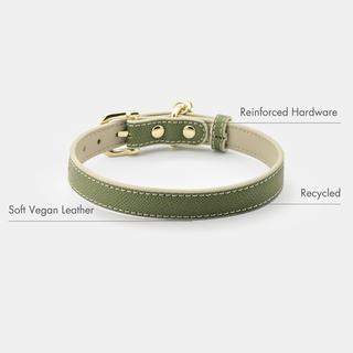 Eco-Friendly Vegan Dog Collar | Modern, Comfortable Pet Collar