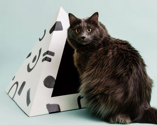 Doodle Cardboard Cat Pyramid | Playful Eco-Friendly Cat Hideaway