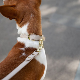 Copenhagen Vegan Leather Dog Collar – Soft, Stylish & Nordic Inspired
